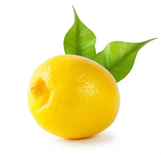 Limão azedo com folhas