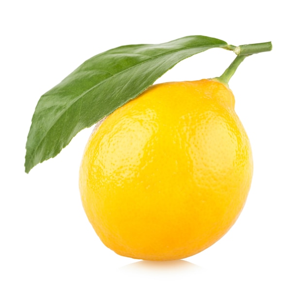 Limão fresco