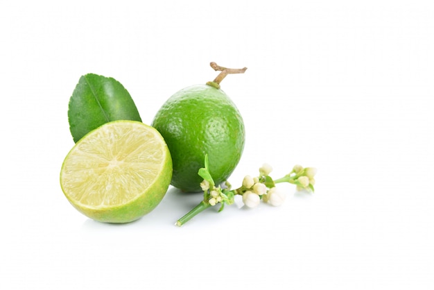 Limes isoliert