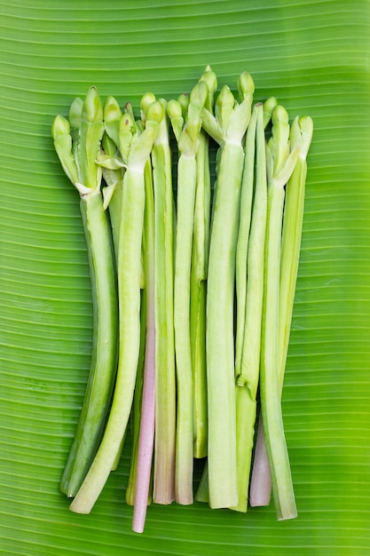 Foto limnocharis flava en hoja de plátano