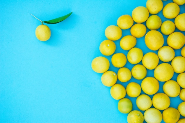 Limon Fresco Con Hojas