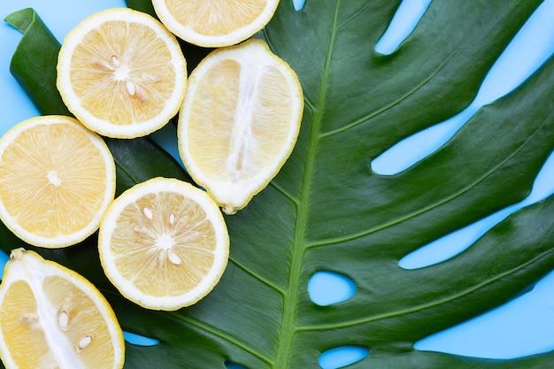 Limón en hoja verde sobre fondo azul.