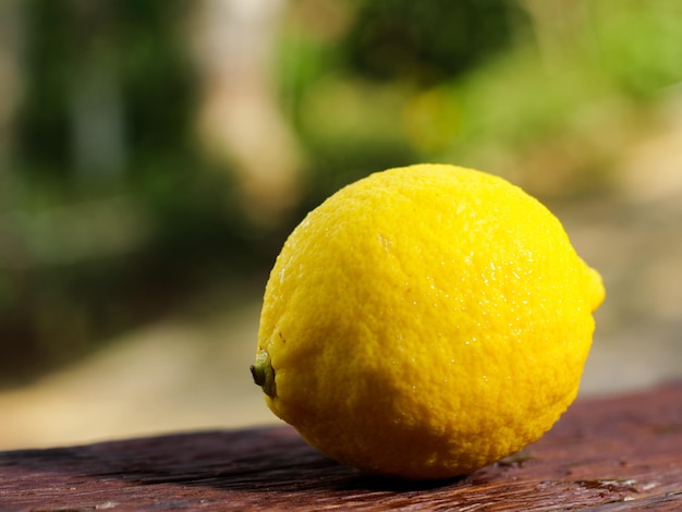 Limón naranja con fondo borroso estético