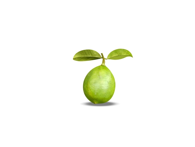 limón o limón de cítricos sobre un fondo blanco aislado