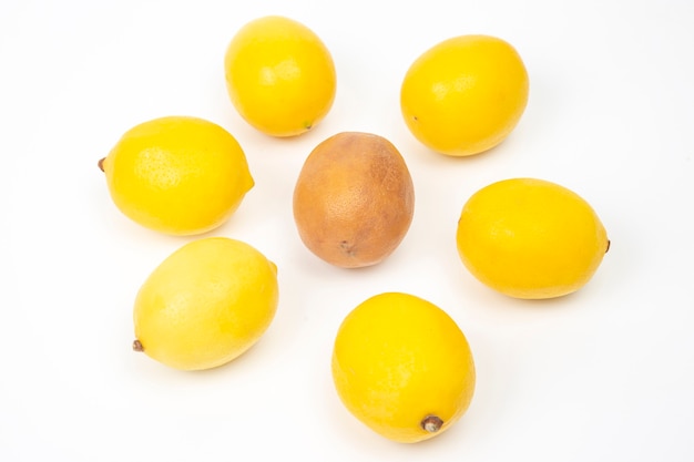 Foto limón podrido junto a limones frescos sobre un fondo blanco.