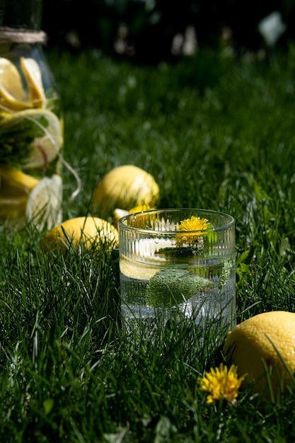 Limonada cítrica fresca e gelada feita de limão e hortelã Limonada de verão sem açúcar e de baixa caloria Limonada no fundo da grama Limonada natural A foto foi tirada com luz natural