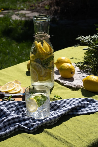 Limonada cítrica helada fresca hecha de limón y menta Limonada de verano baja en calorías sin azúcar Limonada preparada naturalmente Foto tomada con luz natural