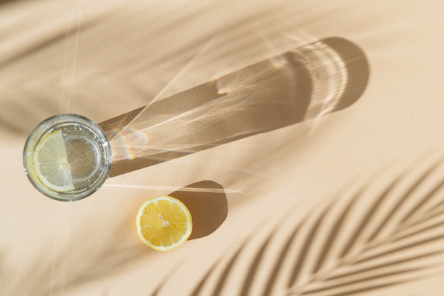 Limonada y sombra de palmera sobre fondo beige con sombras