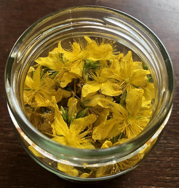 Limonadenblüten im Glas wild gepflückt selbst gemacht