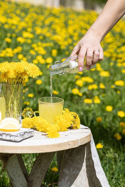 Limonadenkrug mit Zitronenminze und Eis auf dem Gartentisch