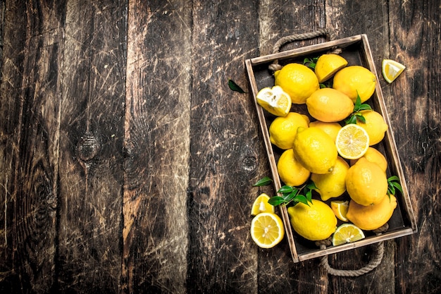 Limones frescos en la bandeja vieja.