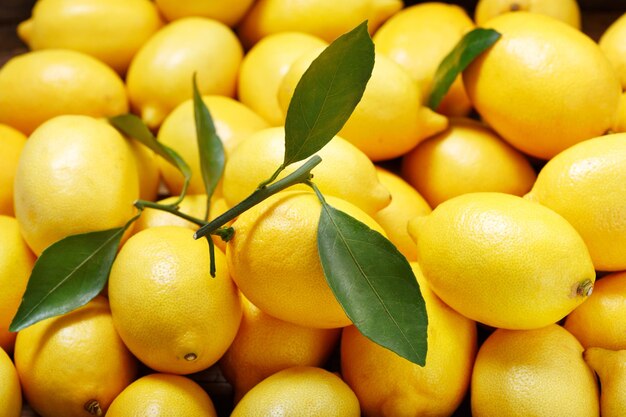 Limones frescos con hojas como fondo