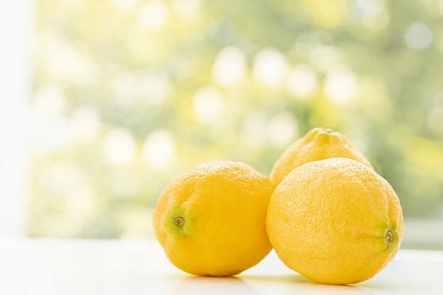 Limones jugosos maduros Limón fruta cítricos concepto mínimo vitamina C Verano creativo minimalista espalda