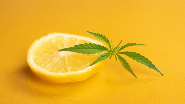 Foto limones en rodajas con hojas de marihuana sobre fondo amarillo.