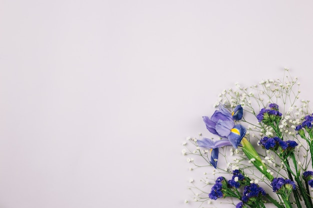 Limonium; gypsophila; y flor de iris sobre fondo blanco