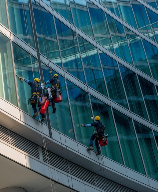 Limpadores de vidro qualificados que se abaixam com eslingas de cima