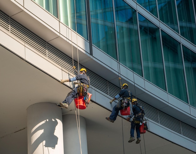 Limpadores de vidro qualificados que se abaixam com eslingas de cima