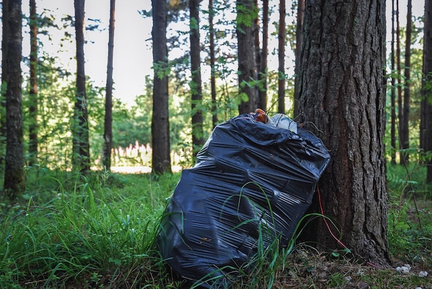 Limpando as florestas do saco de lixo plástico da poluição debaixo da árvore sem pessoas