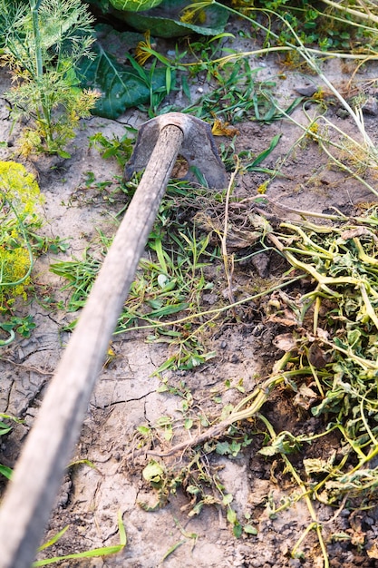 Limpando o jardim da erva daninha pelo helicóptero