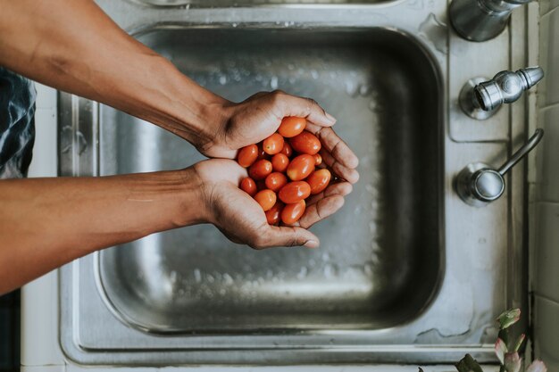 Limpe os tomates frescos de manhã