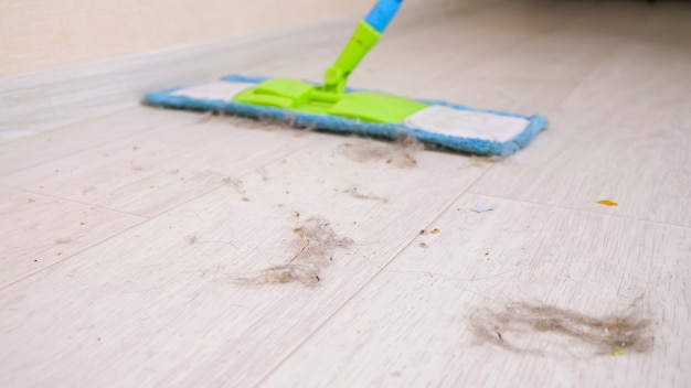 Limpeza de piso de madeira moderno de fragmentos de cabelo, poeira e sujeira com um esfregão macio na sala durante a arrumação
