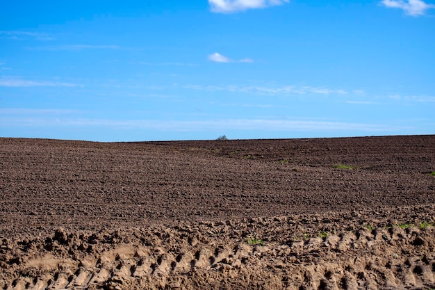 Limpie el campo agrícola arado con cielo azul en el horizonte