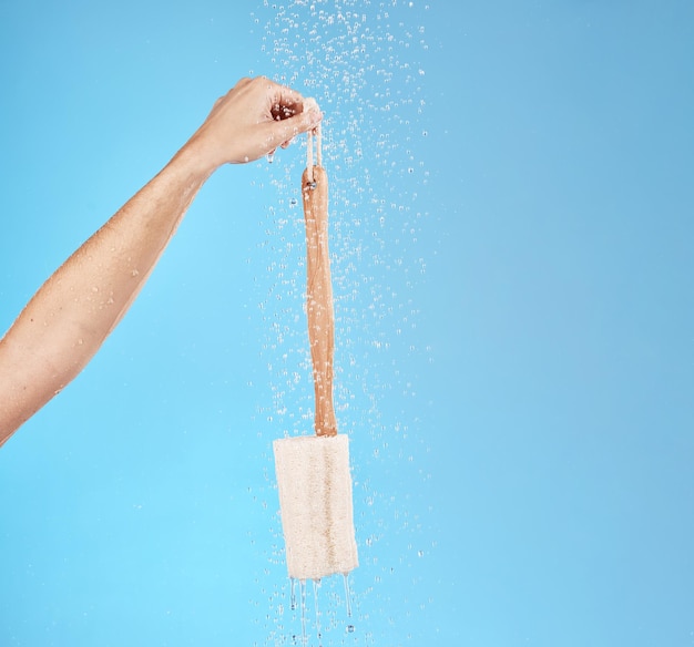 Limpieza de la ducha y la mano con esponja vegetal para la belleza o el cuidado de la salud en el estudio Lavado de esponja cosmética y exfoliante saludable para el cuidado de la piel para lavar la rutina matutina en el baño de fondo azul