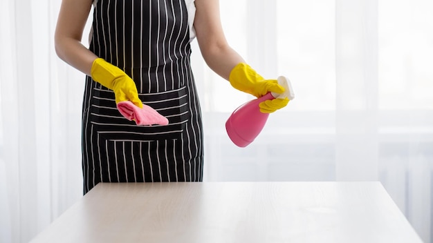 Limpieza del hogar servicio de tareas domésticas higiene de muebles