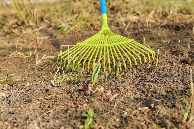 Limpieza de primavera del jardín con un rastrillo de hojas caídas hierba seca