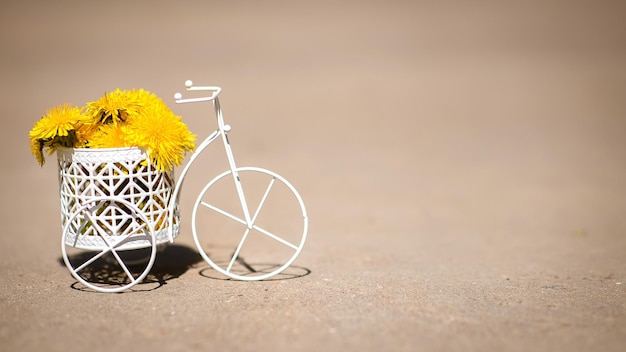 Linda bicicleta retrô branca com flores amarelas brilhantes em um cartão de cesta com dentes de leão copiar espaço