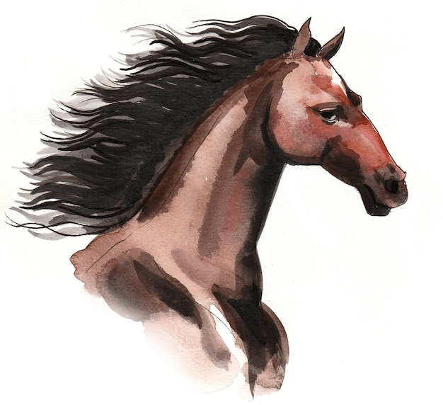 Linda cabeça de cavalo marrom. Desenho a tinta e aguarela