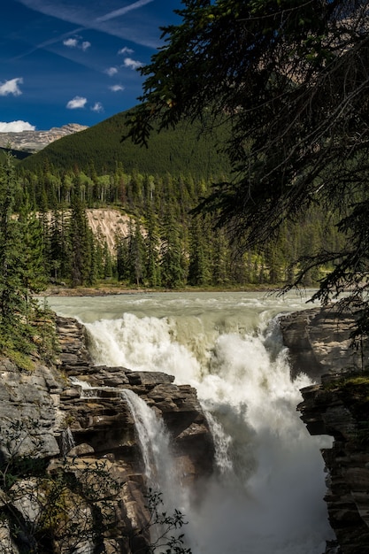 Linda cachoeira. Falls Athabasca em um desfiladeiro profundo no norte do Canadá. Jasper, Canadá, Athabasca Falls, Acefield pkwy, caminhada