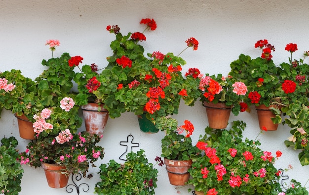 Linda casa com panelas em suas janelas