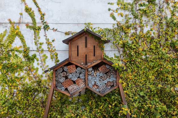 Linda casa de insetos de madeira no jardim perto de uma parede com uma planta verde conceito de ecologia e vida vegetal lisboa portugal