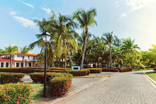 Linda casa entre palmeiras em uma ilha tropical na casa South Luxury vista através de árvores e jardim