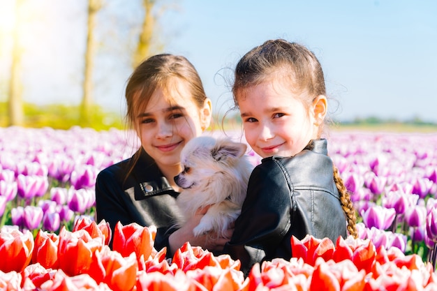 Linda chica adolescente con cabello largo que huele a flor de tulipán en campos de tulipanes en la región de Amsterdam, Holanda, Países Bajos. Paisaje mágico de Holanda con campo de tulipanes en Holanda Trevel y concepto de primavera.