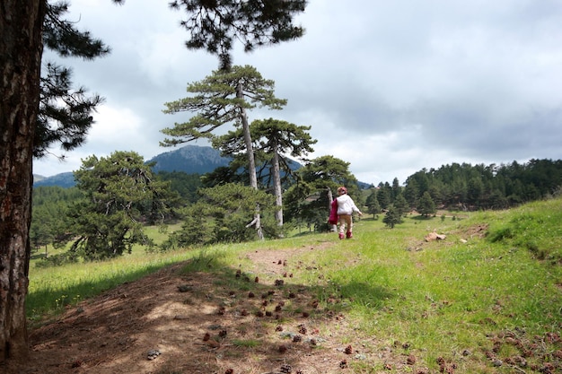 linda chica en el bosque