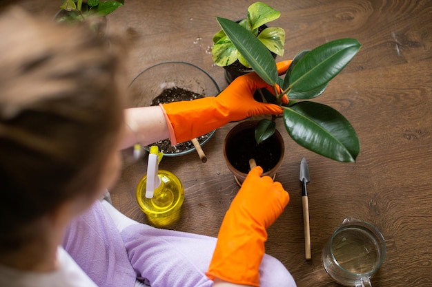 Linda chica con guantes de goma planta una flor interior en maceta