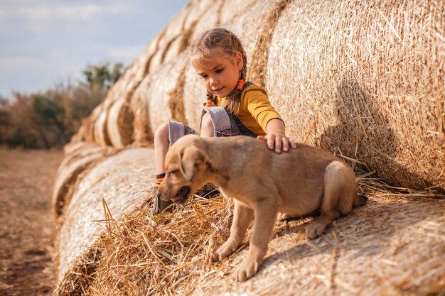 Linda chica jugando con cachorro en rollos de balas de heno en campo