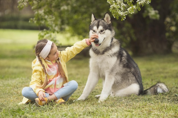 Linda chica con ropa colorida sentada en el césped y jugando con su gracioso amigo perro malamute