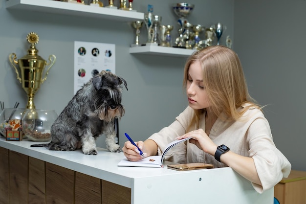 una linda chica rubia está parada en el mostrador de recepción tomando notas de un Schnauzer en miniatura