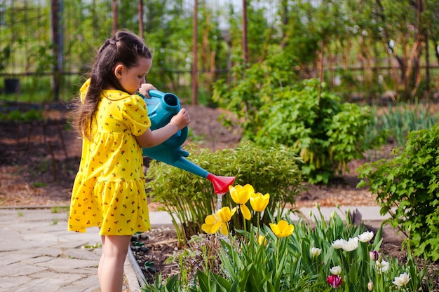 Una linda chica con un vestido amarillo riega tulipanes amarillos de una regadera azul en el jardín trasero de ...