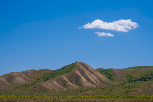 Linda colina verde sob o céu azul com nuvens solitárias no dia de verão