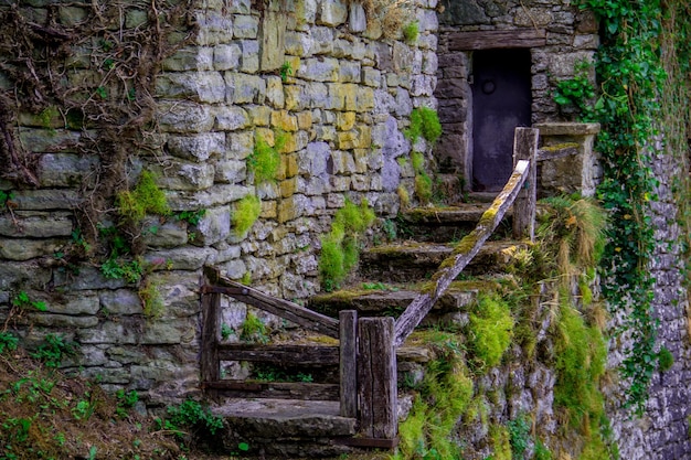 Linda escada antiga que conduz à porta de um castelo com paredes de pedra cobertas de musgo