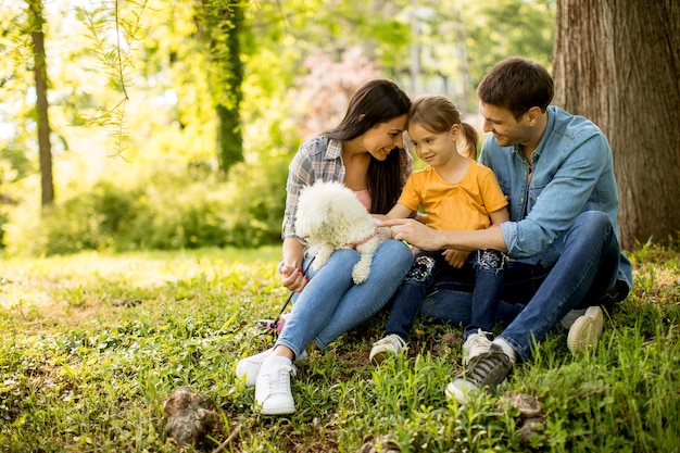 Linda família feliz está se divertindo com cachorro bishon debaixo da árvore ao ar livre