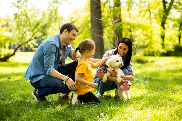 Linda família feliz se divertindo com o cachorro bichon ao ar livre no parque