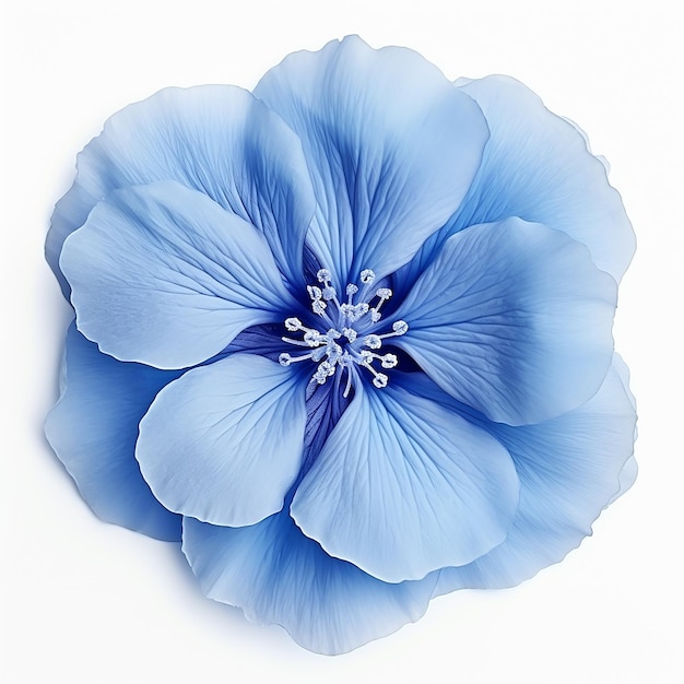 Linda Flor Azul Suave