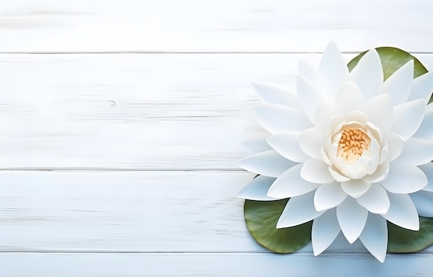 linda flor de lótus de nenúfar na mesa de madeira branca