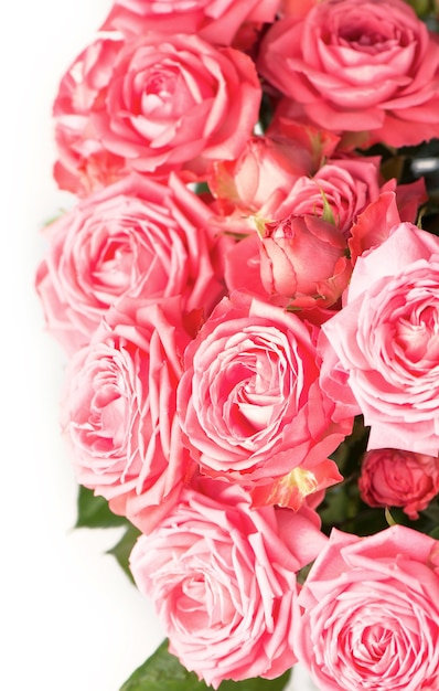 Linda flor floral - buquê de flores rosa