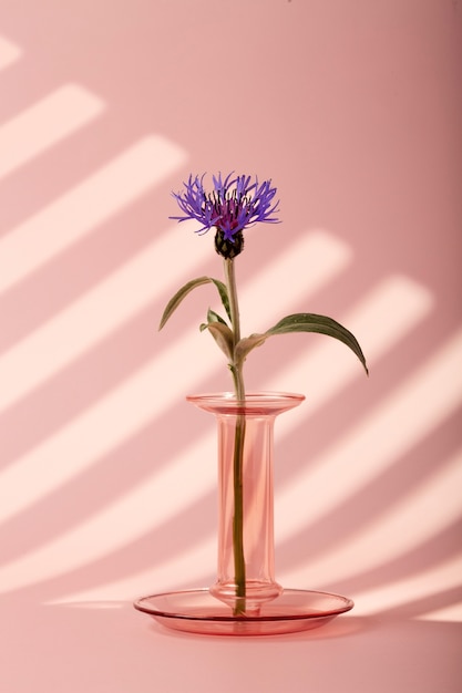 Linda flor roxa em vaso